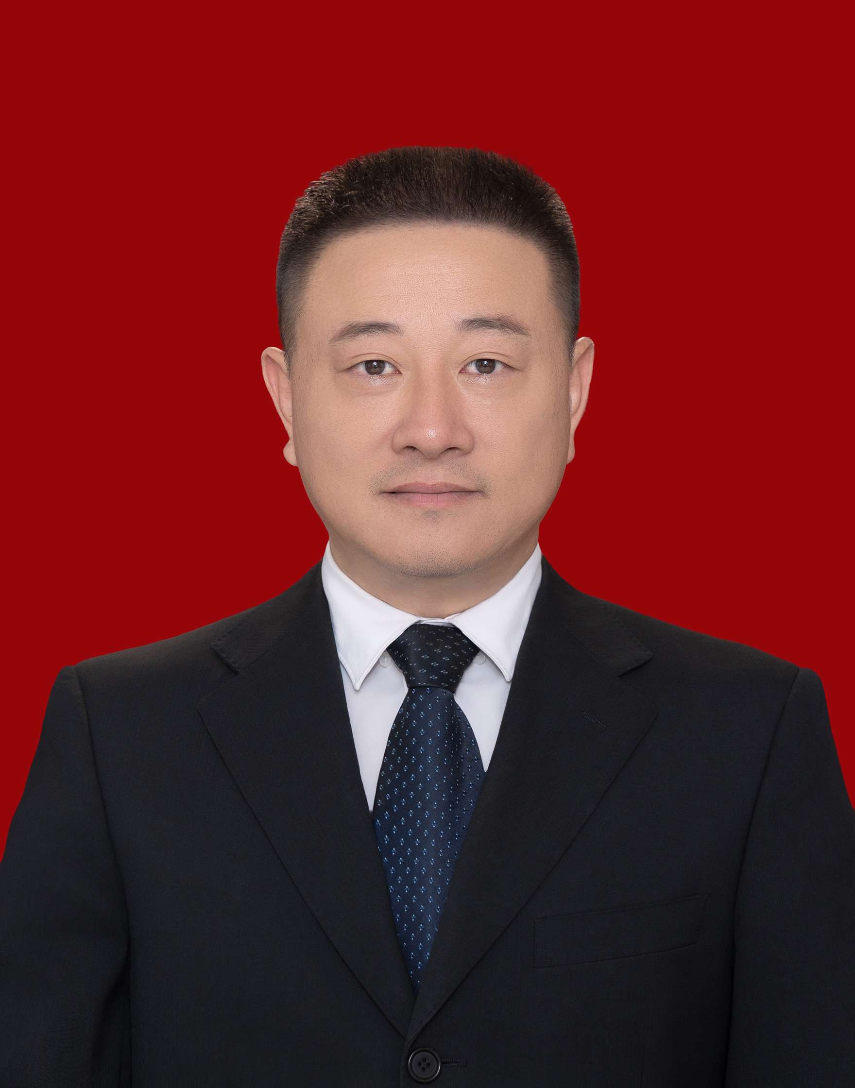 党委委员、副校长 杨珲